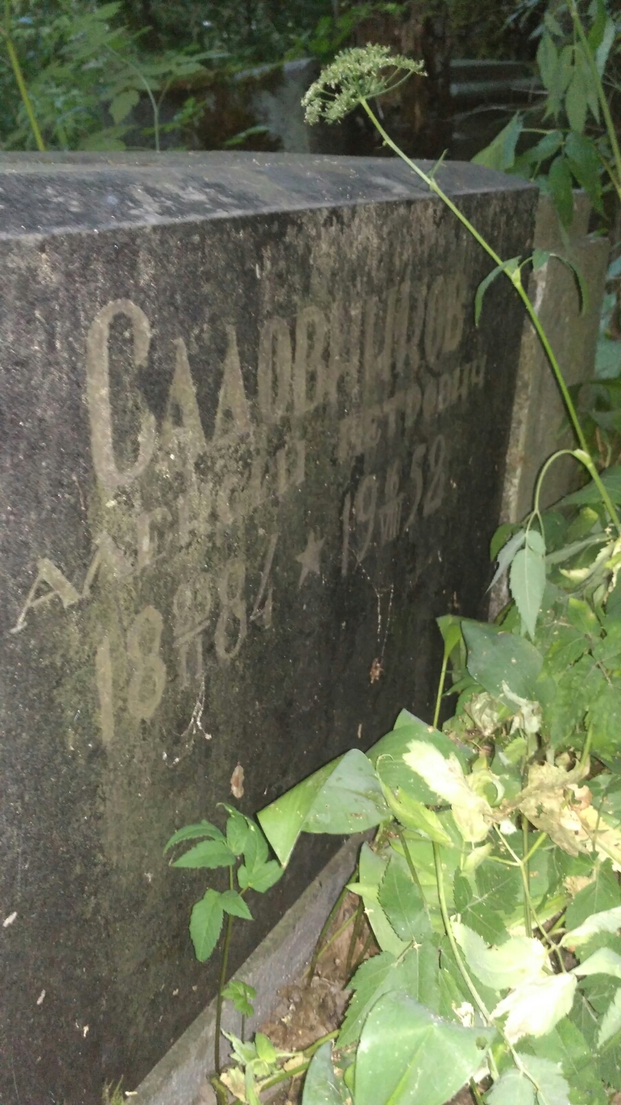 Садовников Алексей Петрович