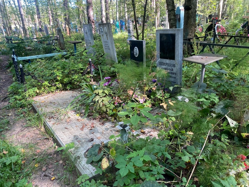 Ширшов Николай Михайлович