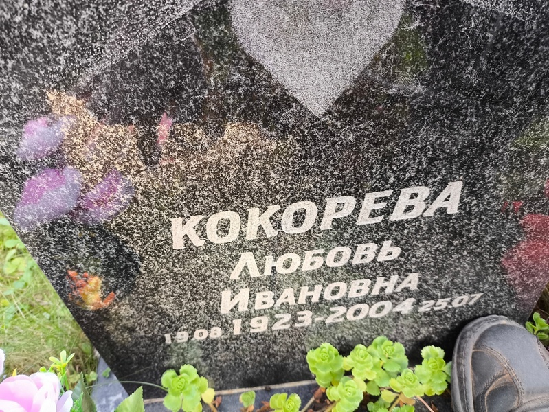 Кокорева