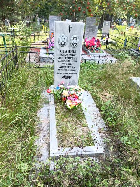 Стаин Владимир Дмитриевич