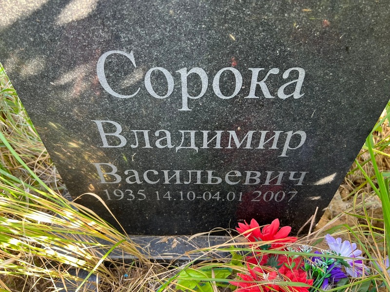Сорока