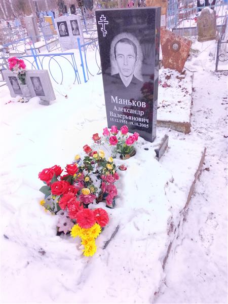 Маньков Александр Валерьянович