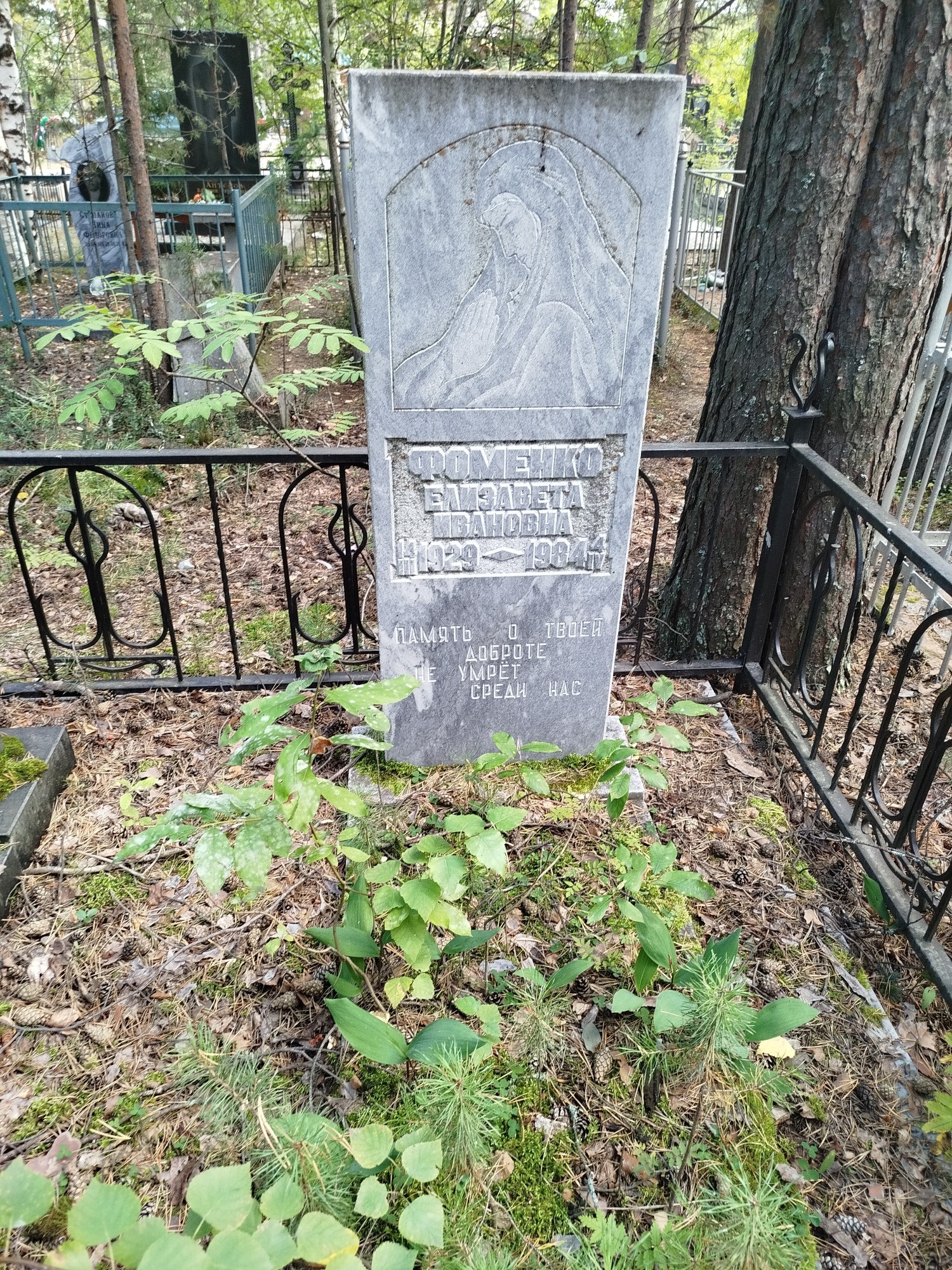 Фоменко Елизавета Ивановна