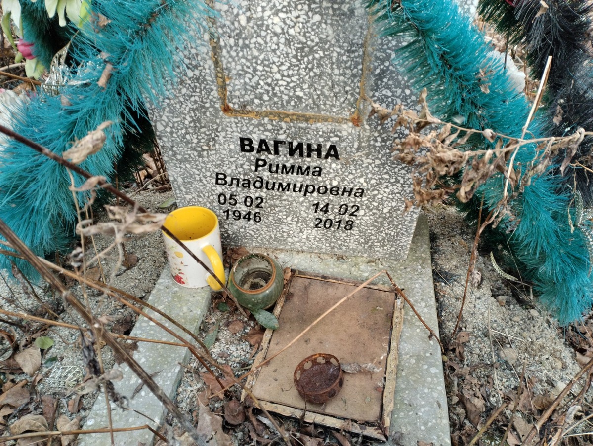 Вагина Римма Владимировна