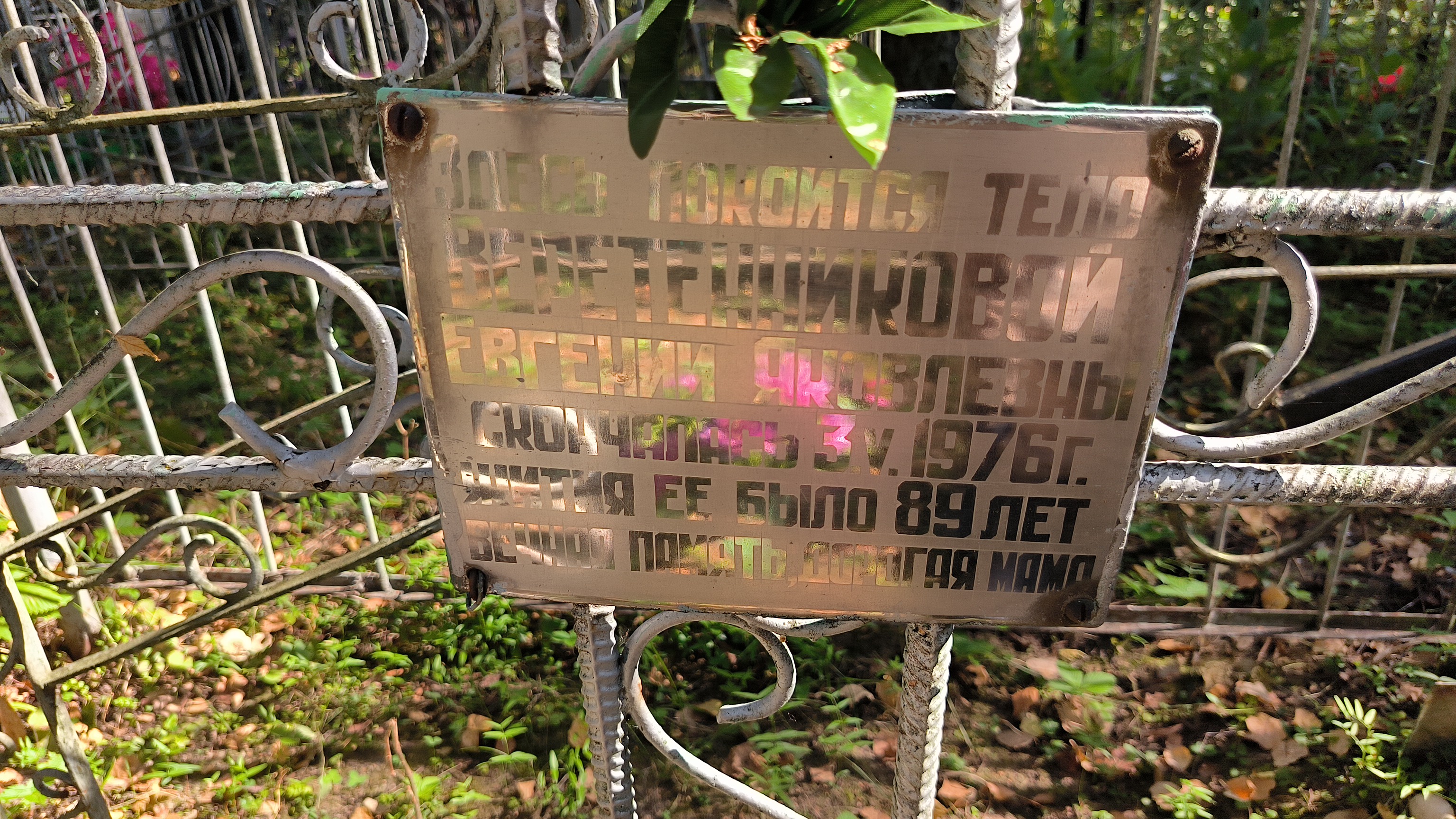 Щукин Николай Николаевич