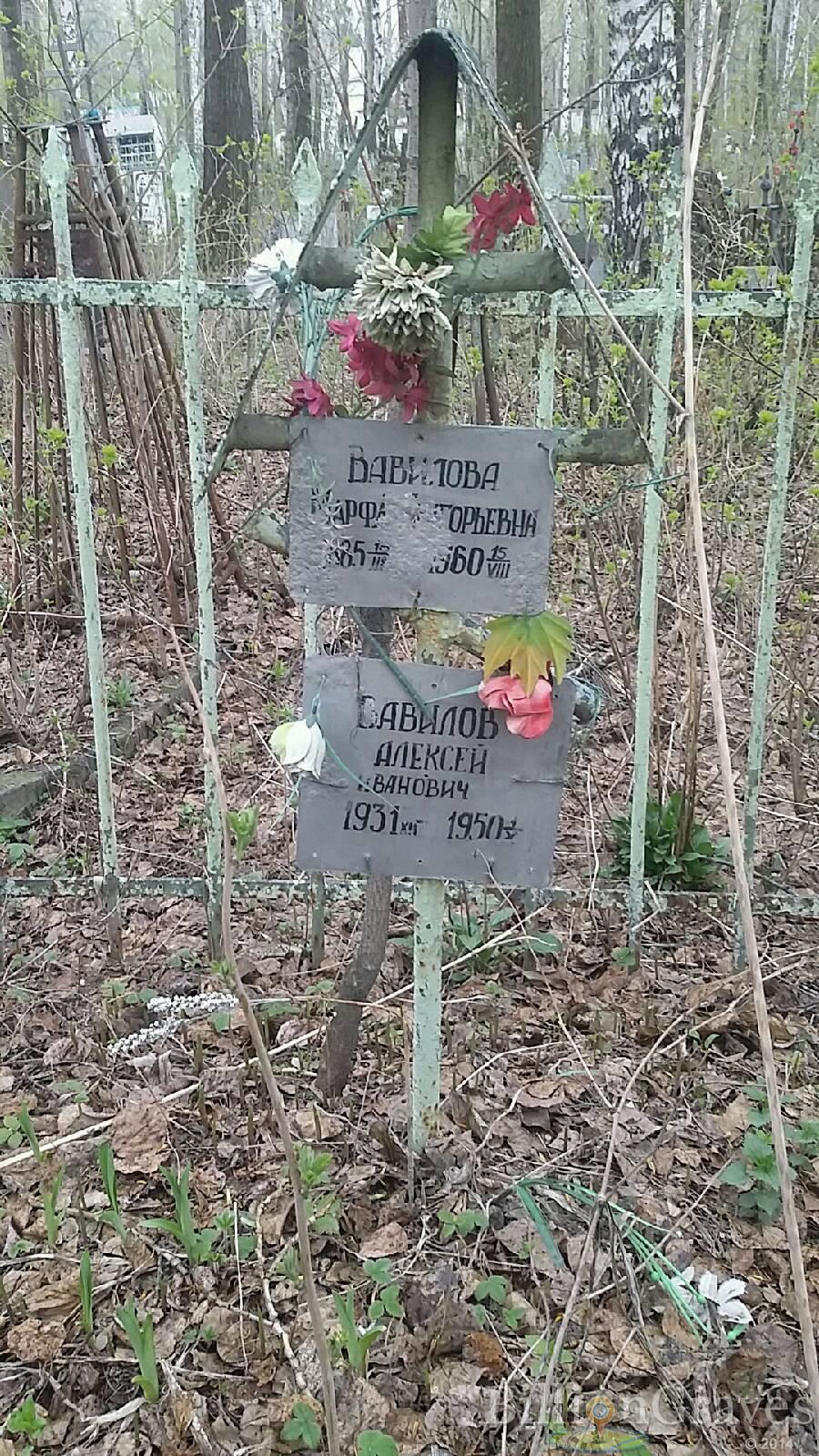Вавилова Марфа Григорьевна