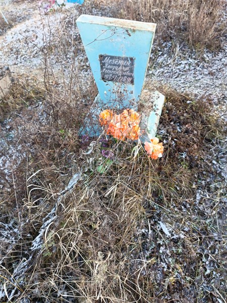 Мезенин Владимир Александрович