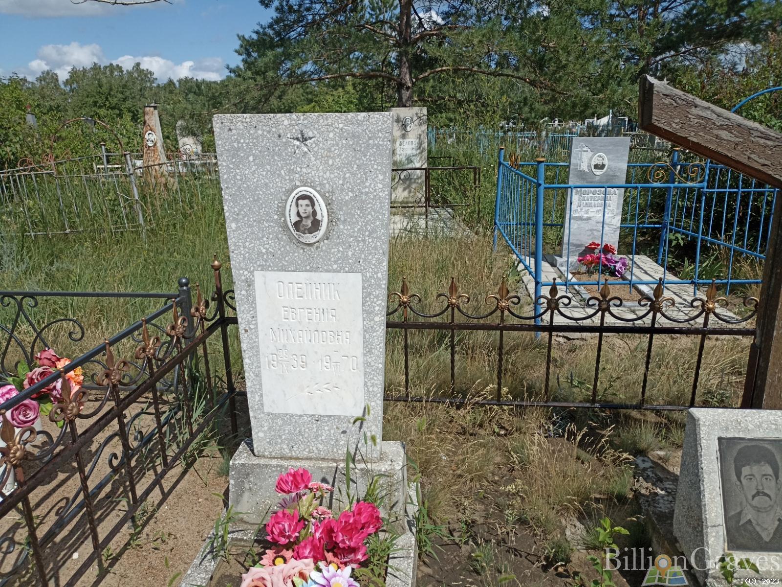 Олейник Евгения Михайловна