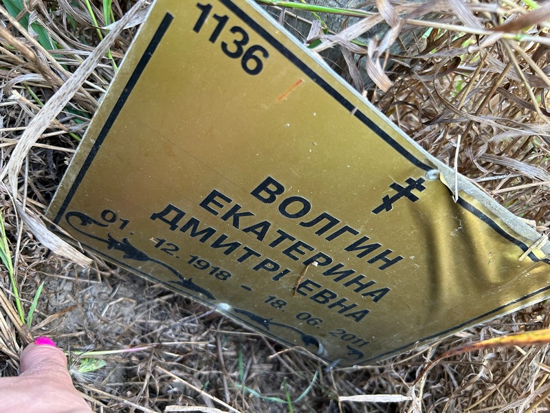 Волгина