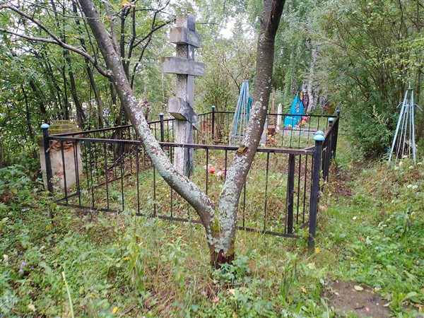 Тенкачев Александр Николаевич