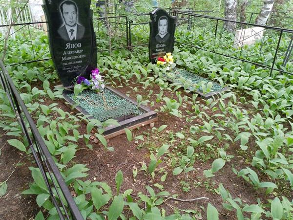 Янов Александр Максимович