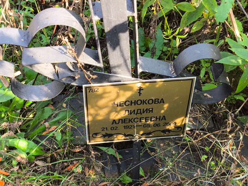 Чеснокова