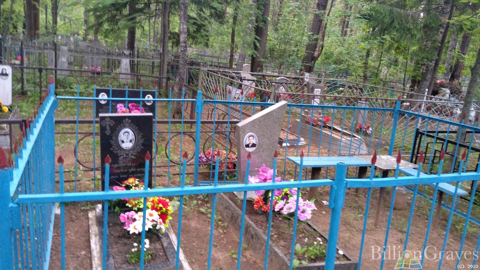 Докичева Елена Васильевна