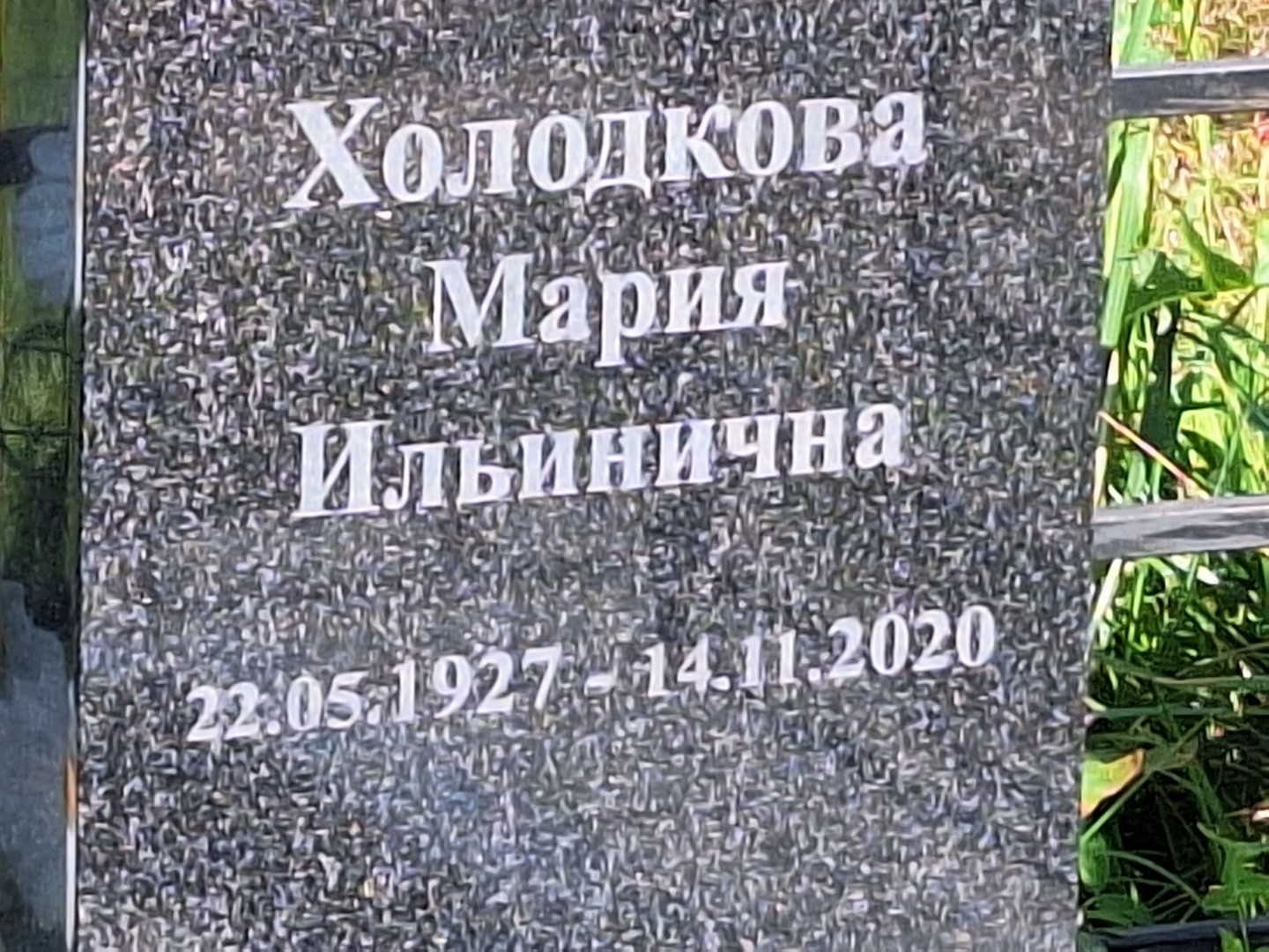 Холодкова