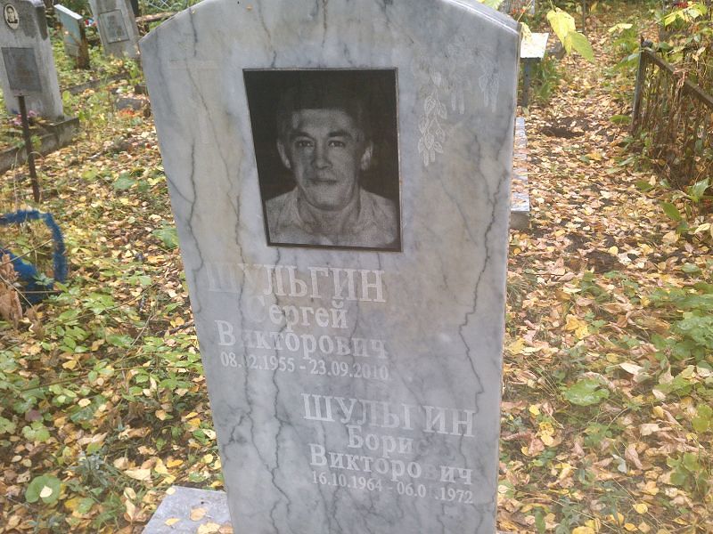 Шульгин