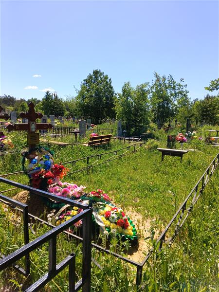 Тарасова Татьяна Николаевна