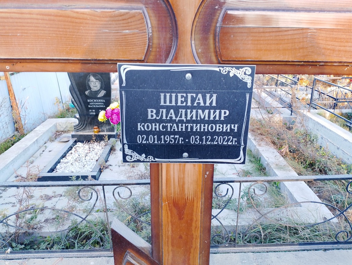 Шегаи Владимир Константинович