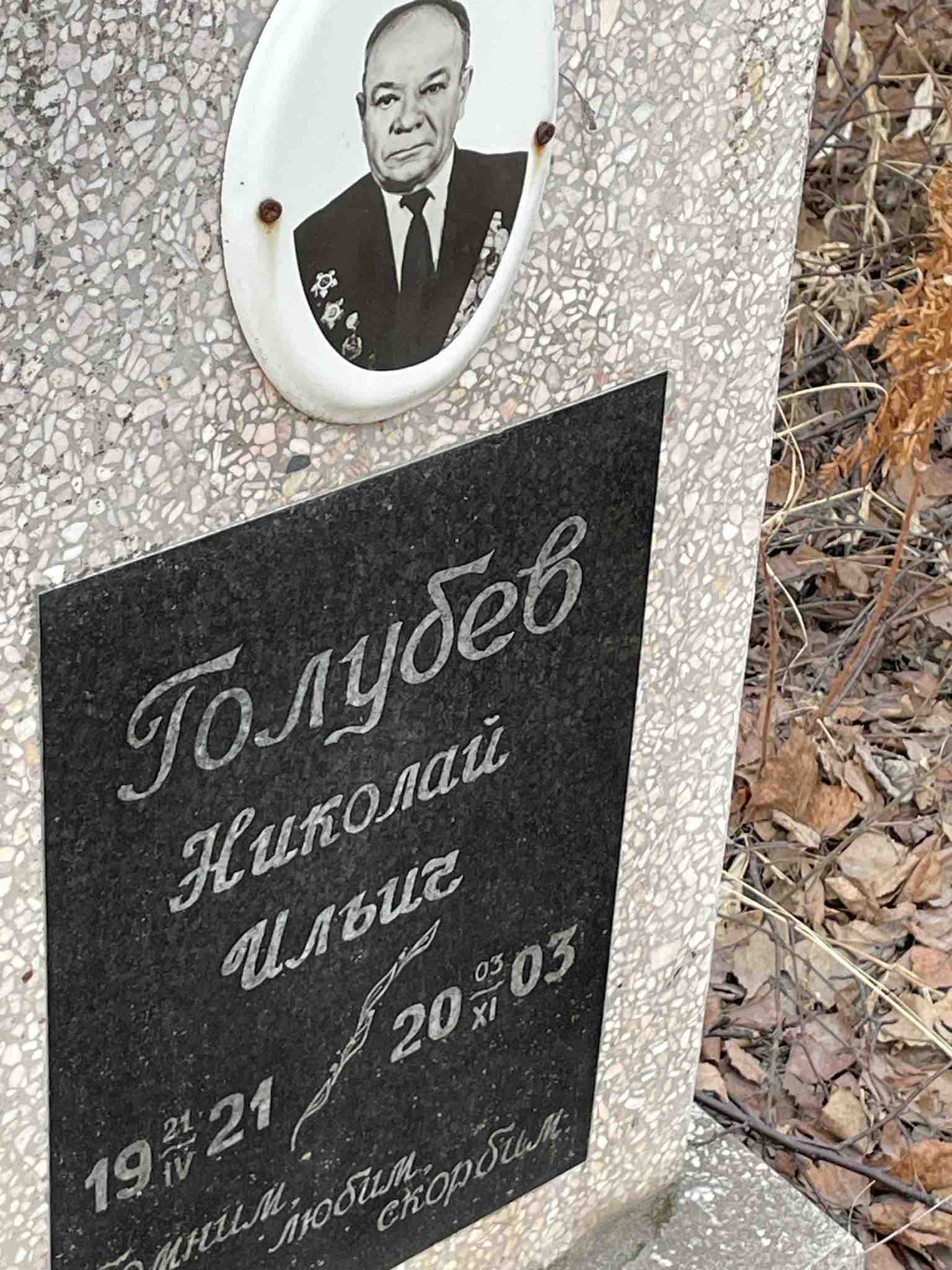 Голубев Николай Ильич