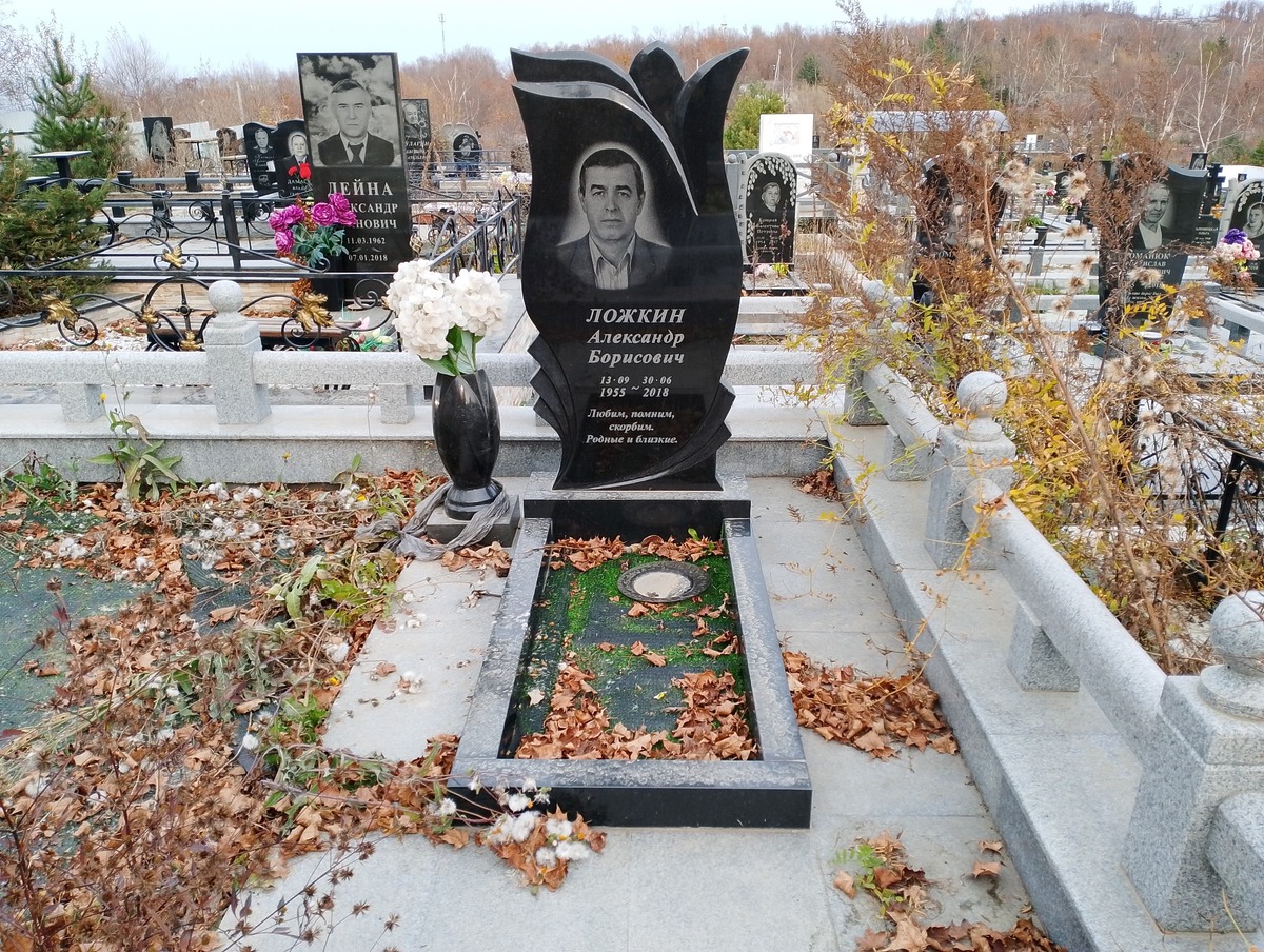 Ложкин Александр Борисович