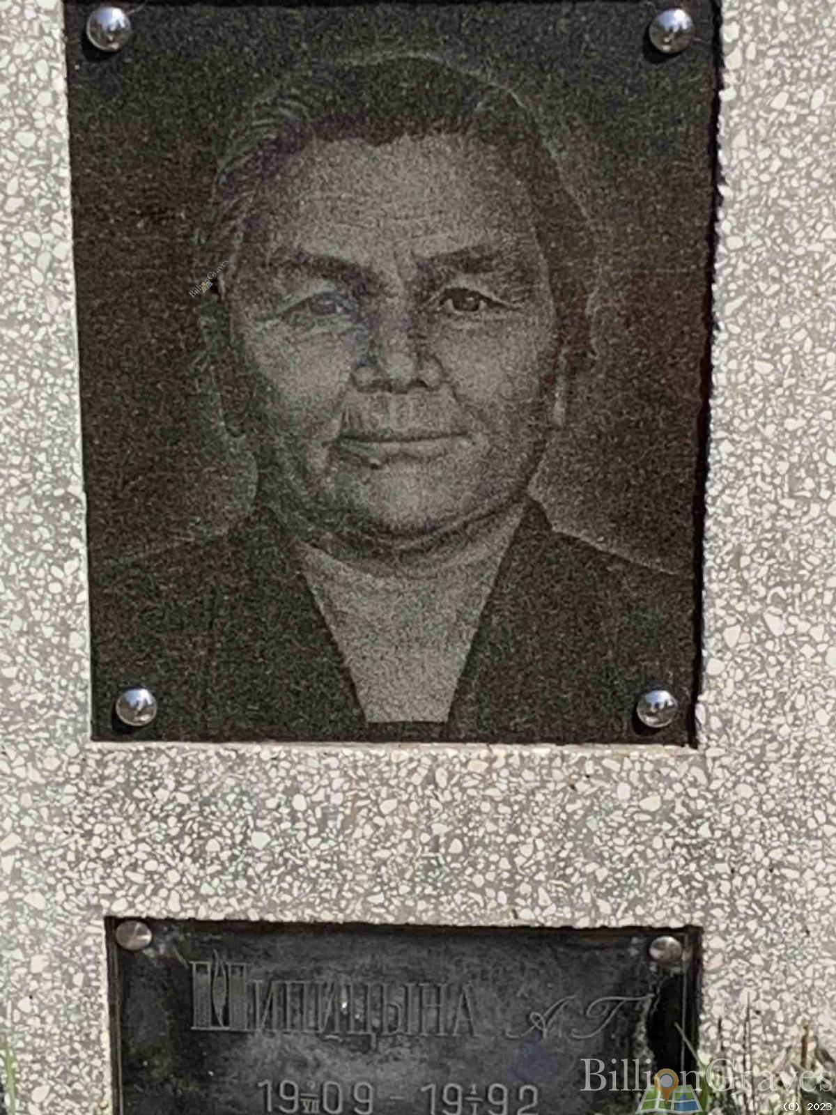 Шипицына А. Г.