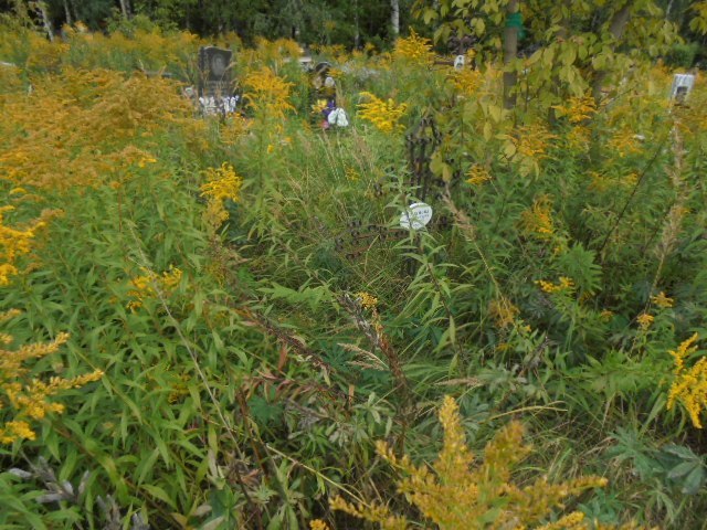 Романова Зоя Ивановна