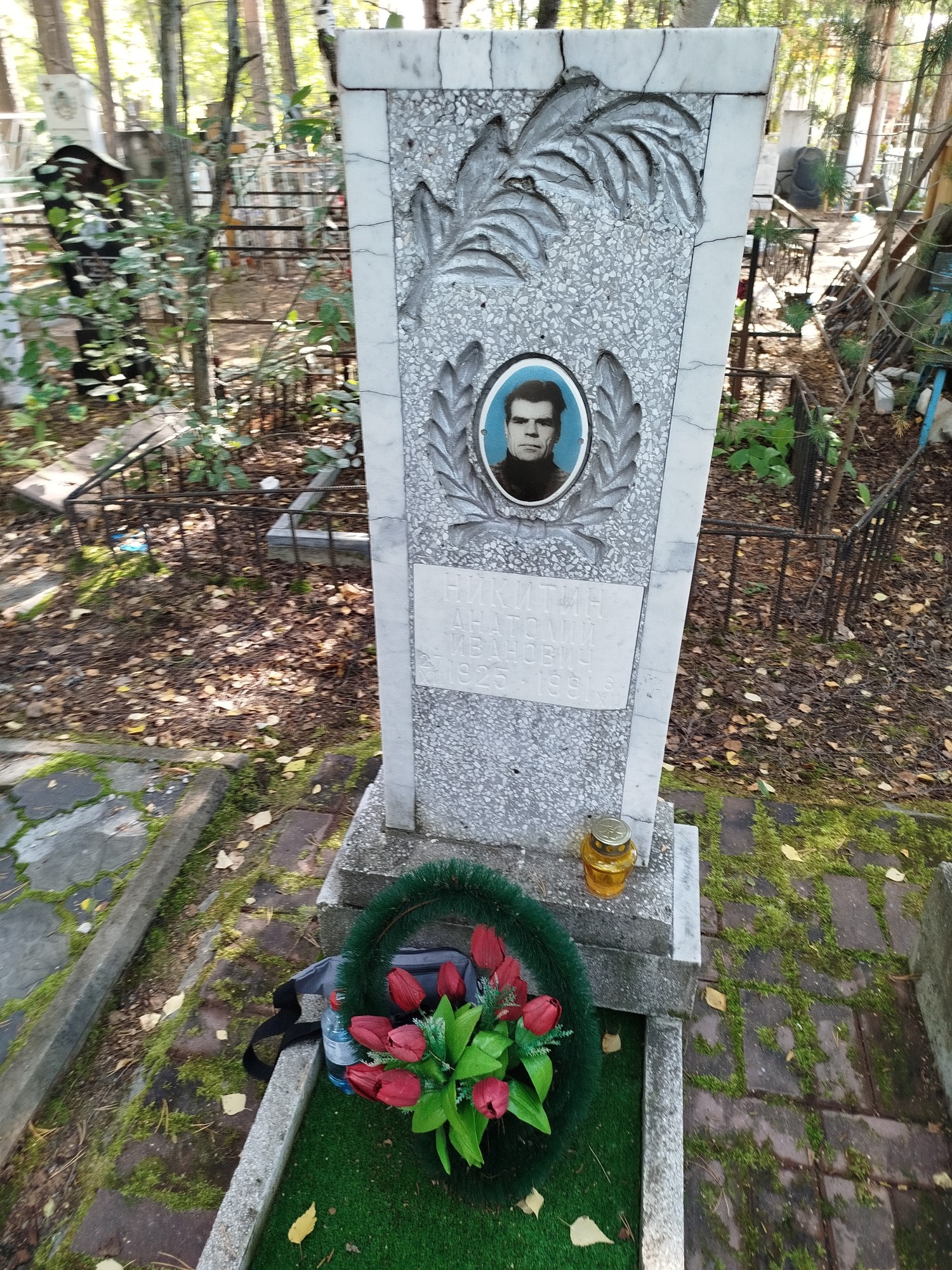 Никитин Анатолий Иванович