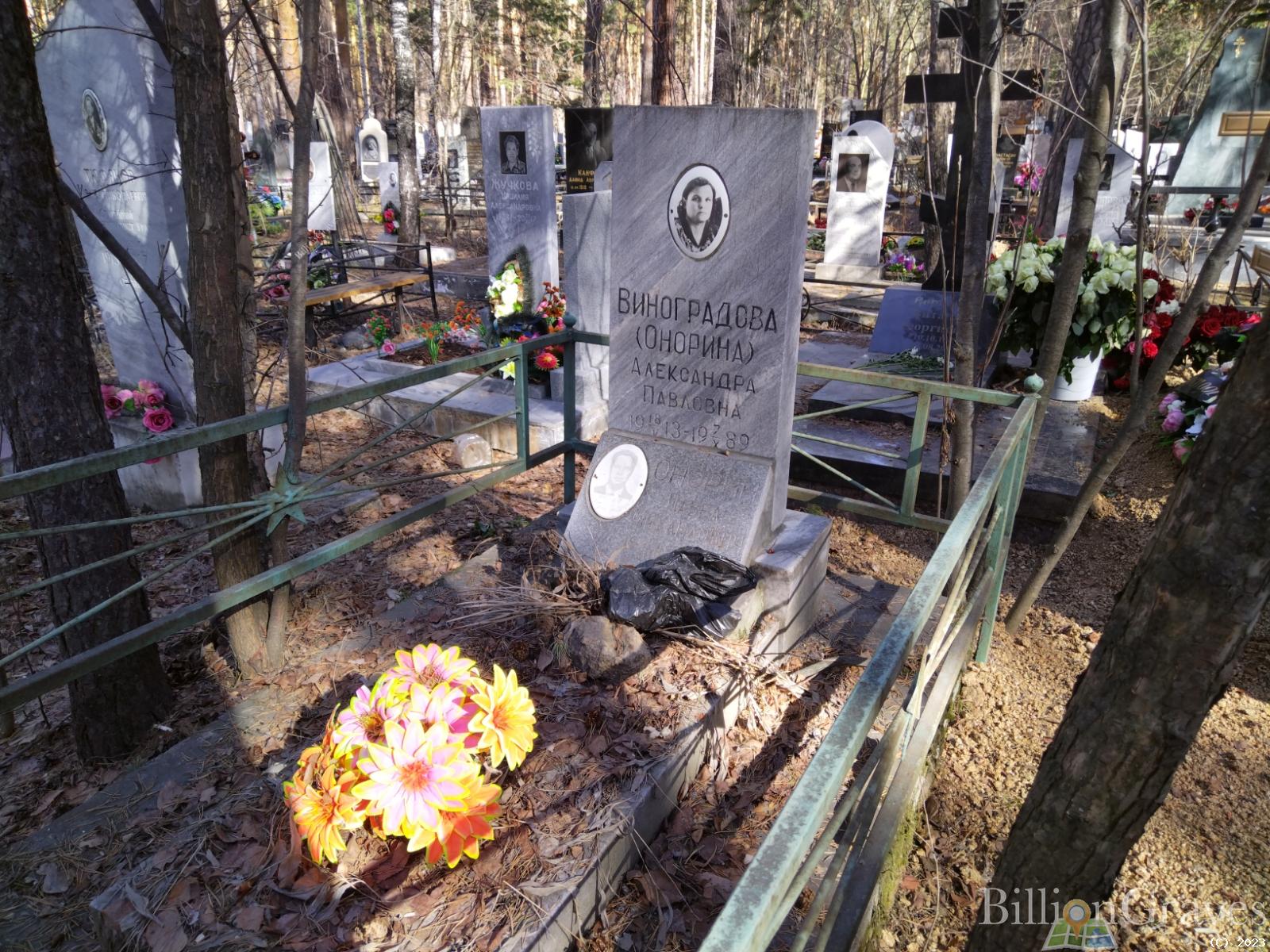 Виноградова Александра Павловна