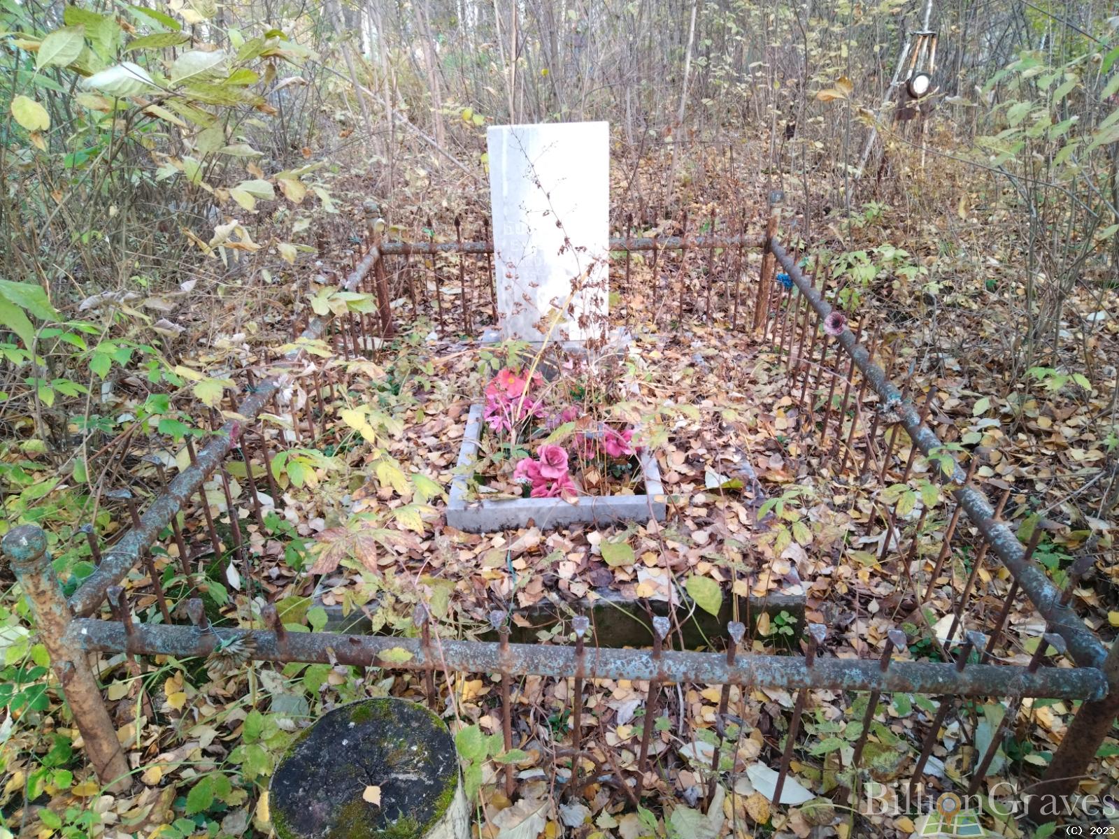 Богачева Елизавета Николаевна