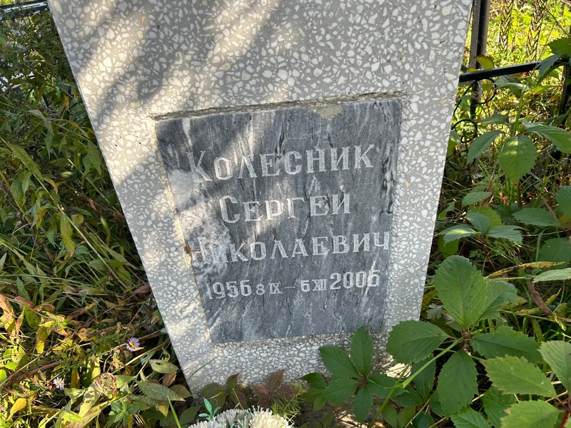 Колесник