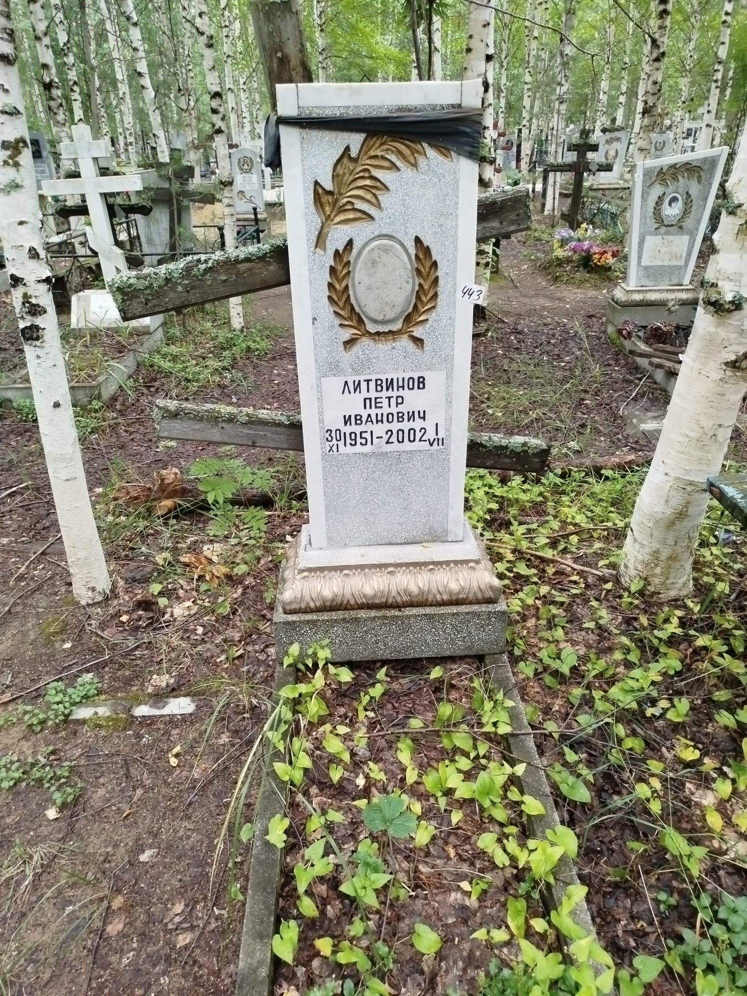 Литвинов Петр Иванович