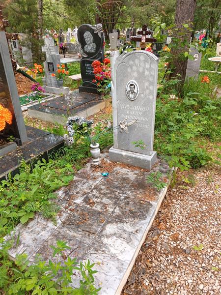 Дружинин Виктор Филиппович