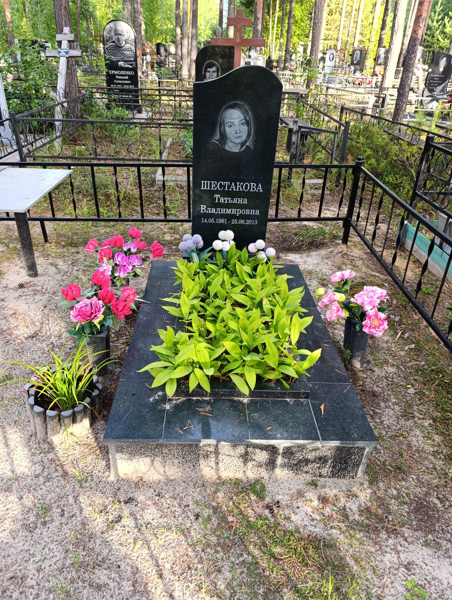 Шестакова Татьяна Владимировна
