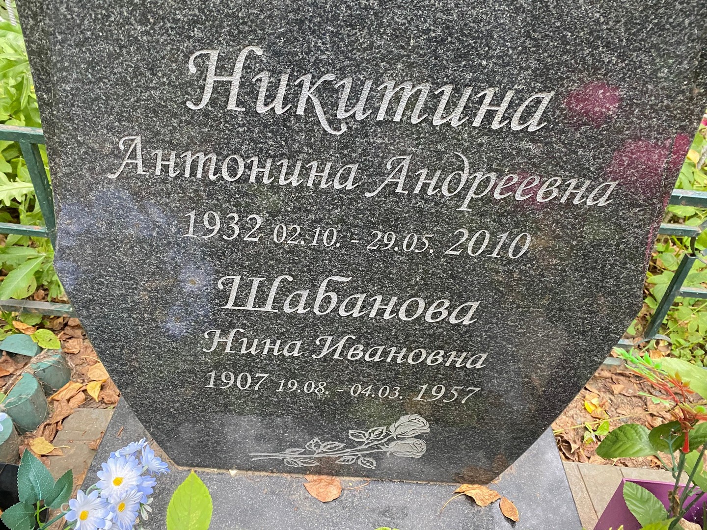 Никитина Антонина Андреевна