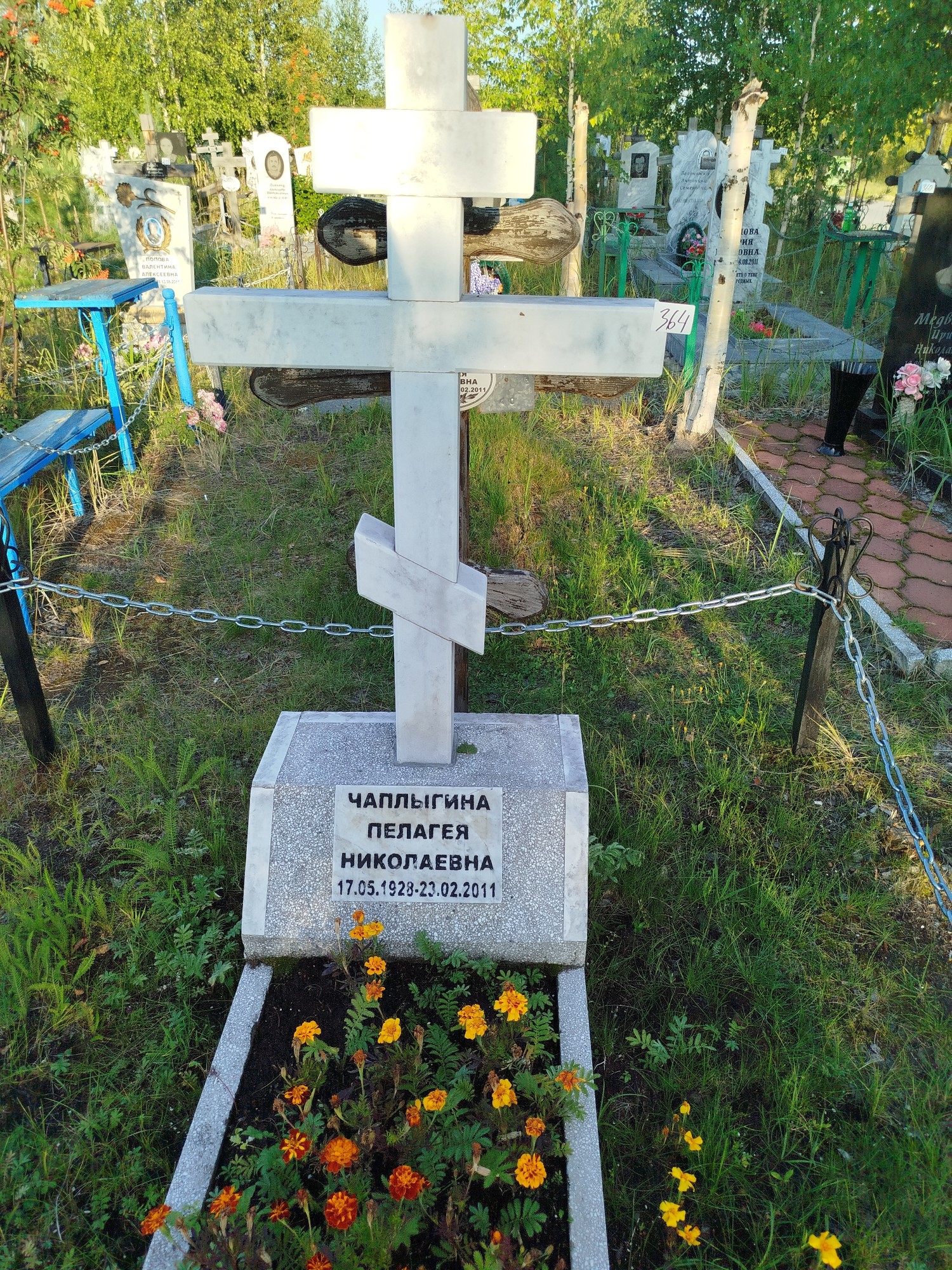 Чаплыгина Пелагея Николаевна