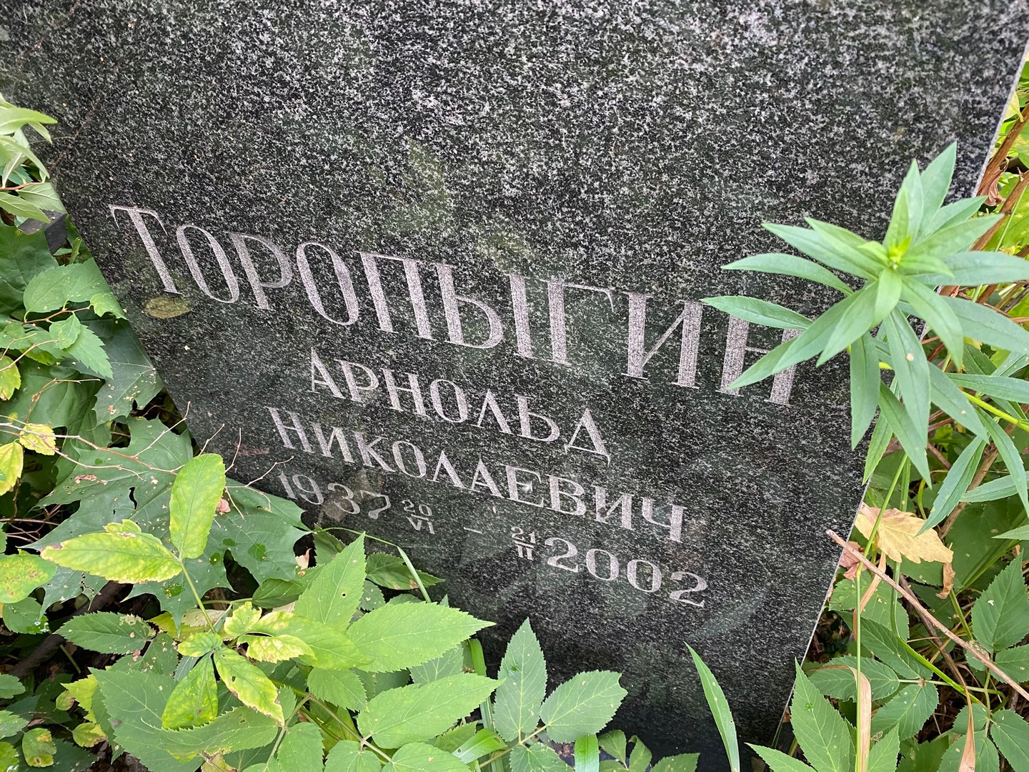 Арнольд Торопыгин Николаевич