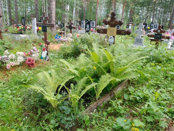 Зайцев Михаил Иванович