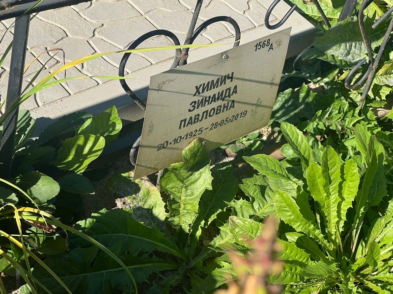 Химич
