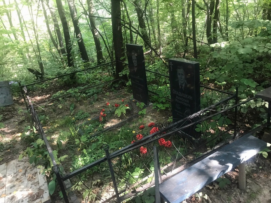 Оладышкин Николай Иванович