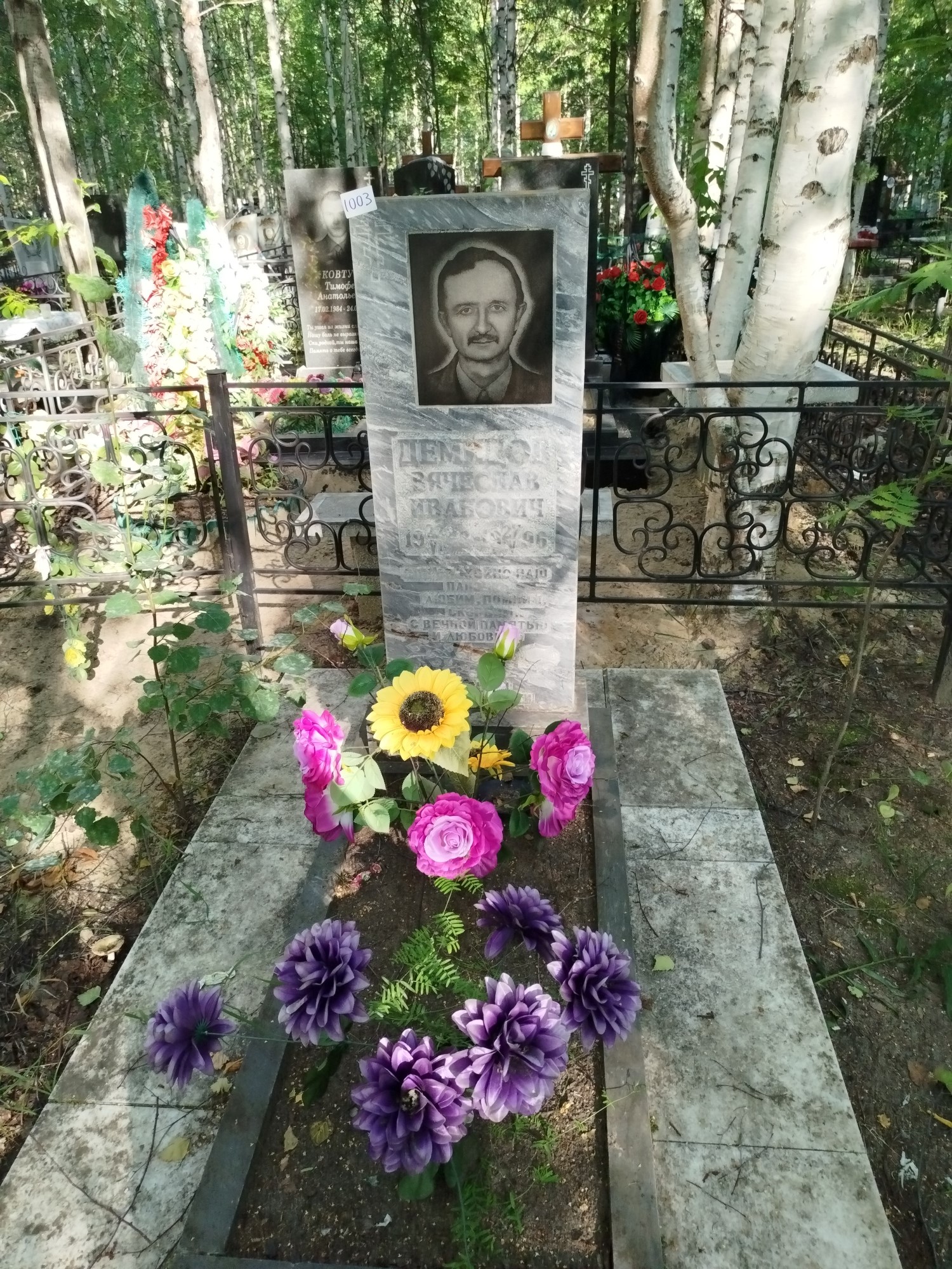 Демидов Вячеслав Иванович