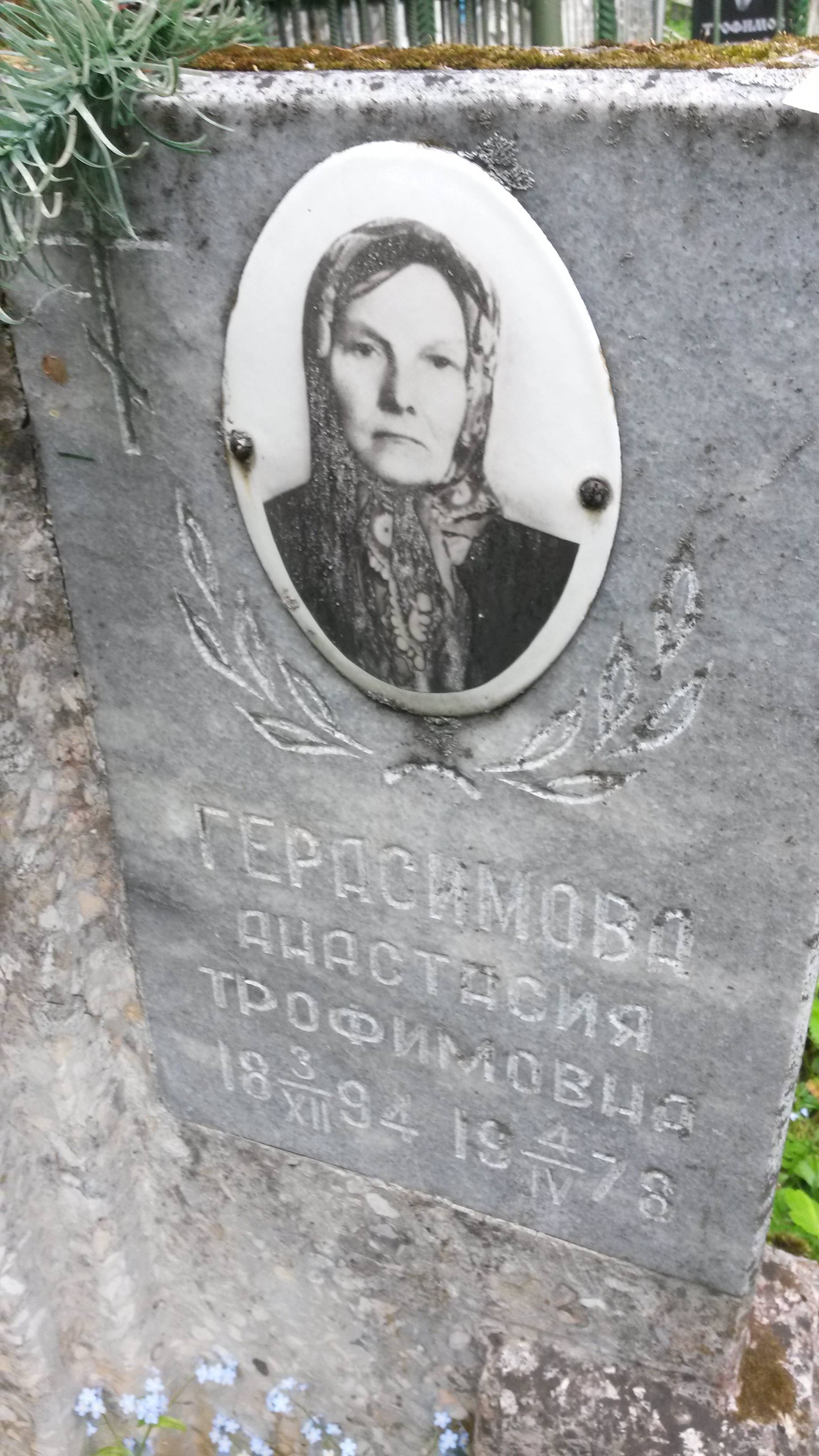 Герасимова Анастасия Трофимовна