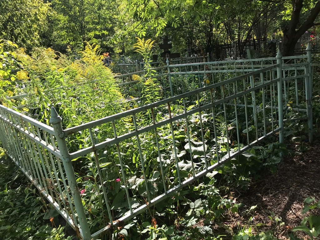 Ямушев Николай Трофимович