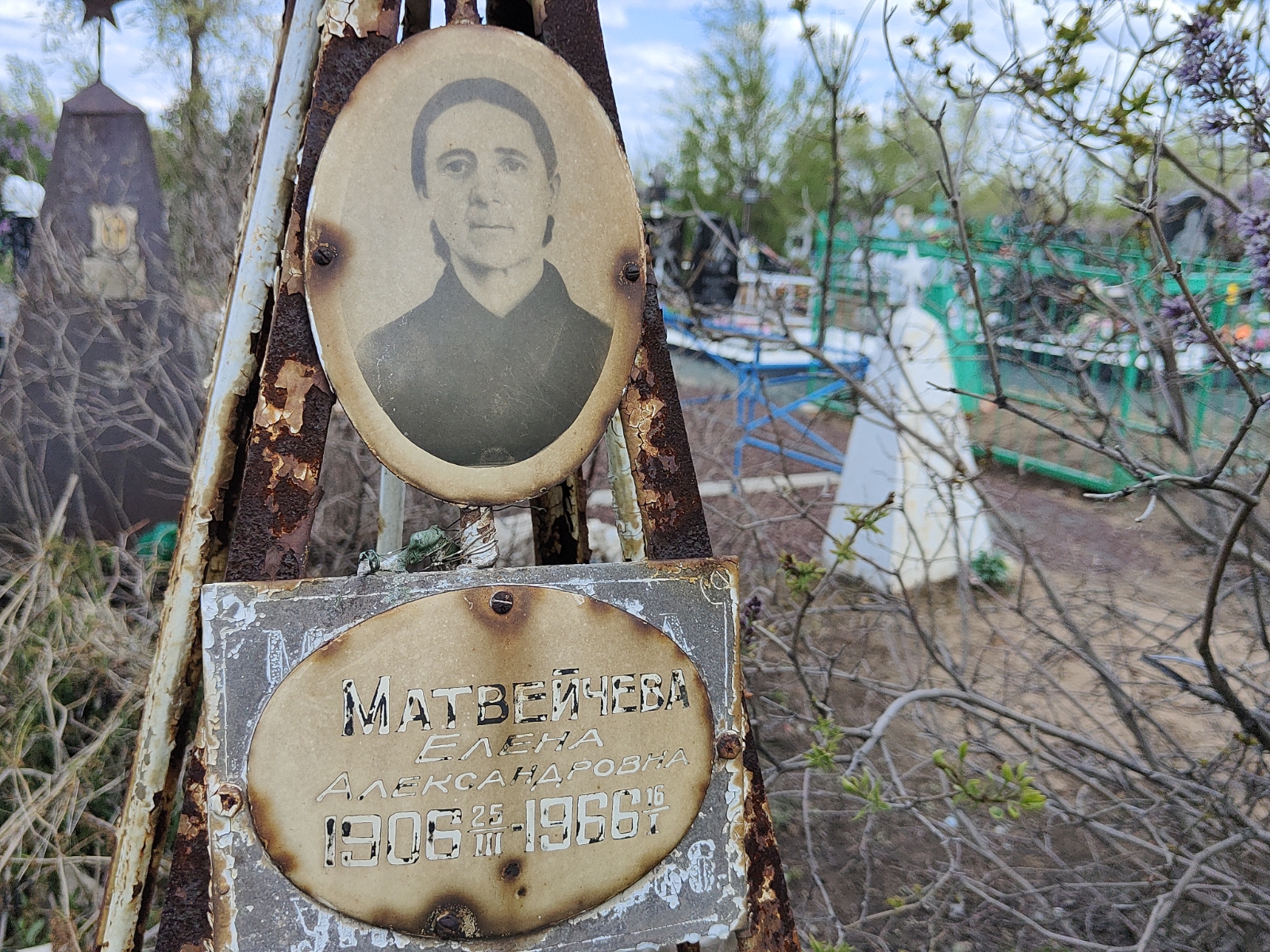 Матвейчева Елена Александровна