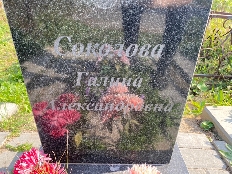 Соколова