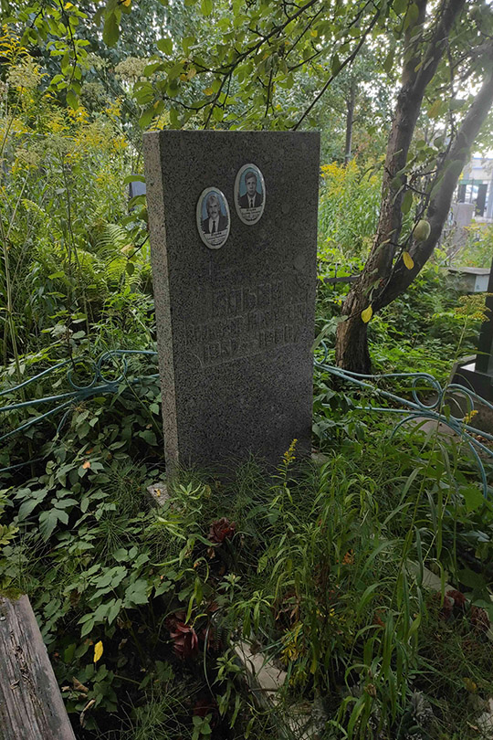Ильин Владимир Николаевич