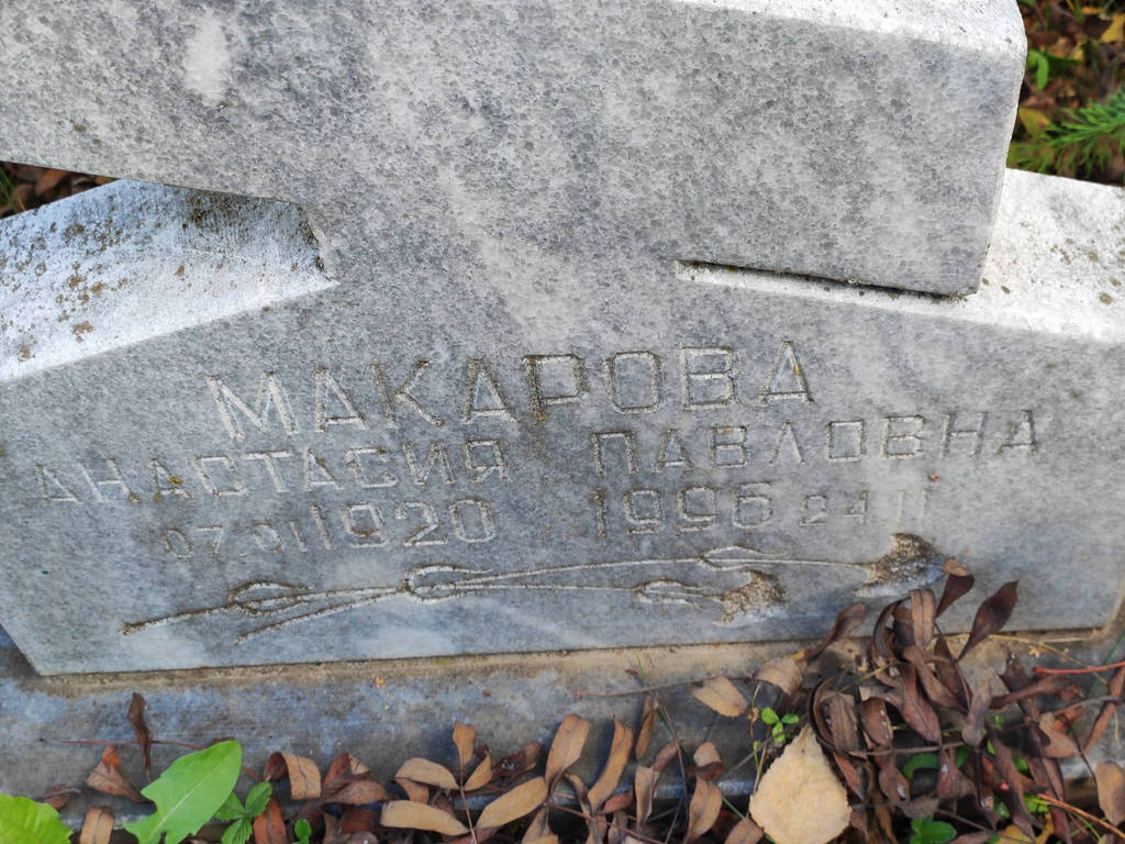 Макарова Анастасия Павловна