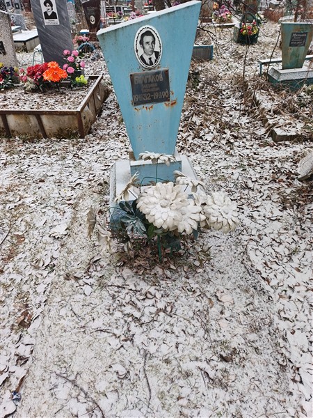 Булгаков Владимир Васильевич