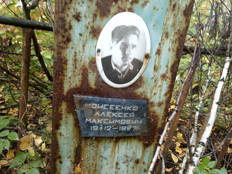 Моисеенко