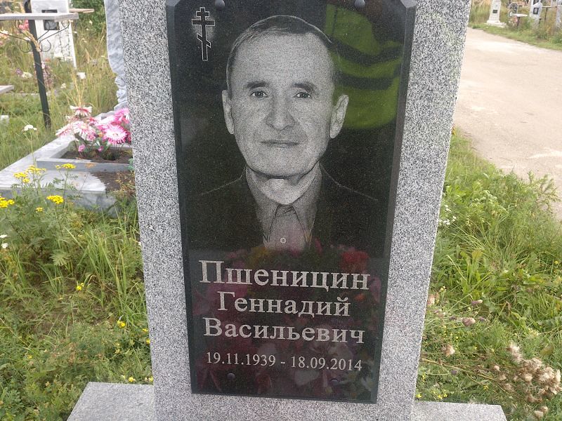 Пшеницин