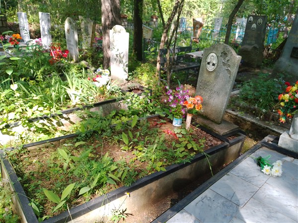 Семенова Анастасия Николаевна