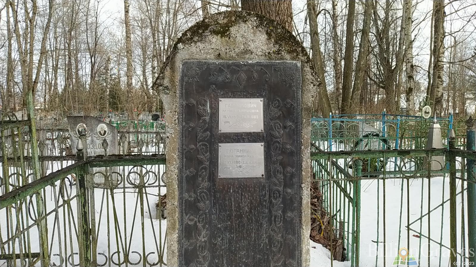 Поганкина Анна Николаевна